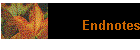 Endnotes